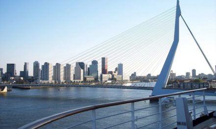 Rotterdam: een stad met veel bedrijvigheid