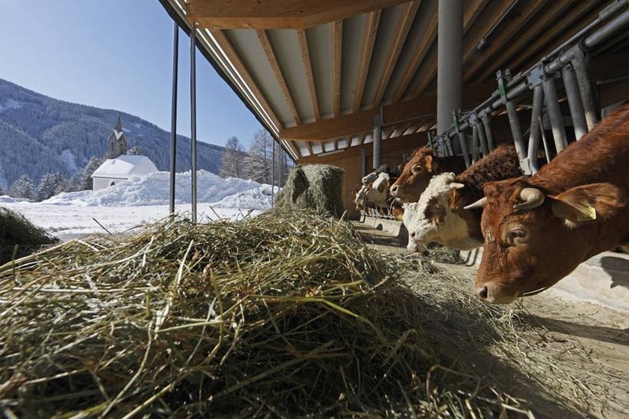 Boerderij in Zuid-Tirol